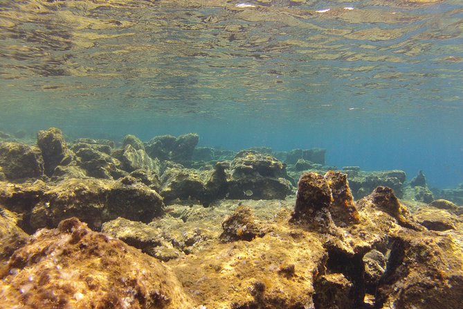Olous – Guided Snorkelling Excursion to Discover Olous Sunken Ancient City - Cost and overall value at $66.08