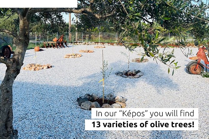 Pallada Semi-Private Olive Oil Tours in Sternes, Chania - Why this Sternes olive oil visit is worth your time