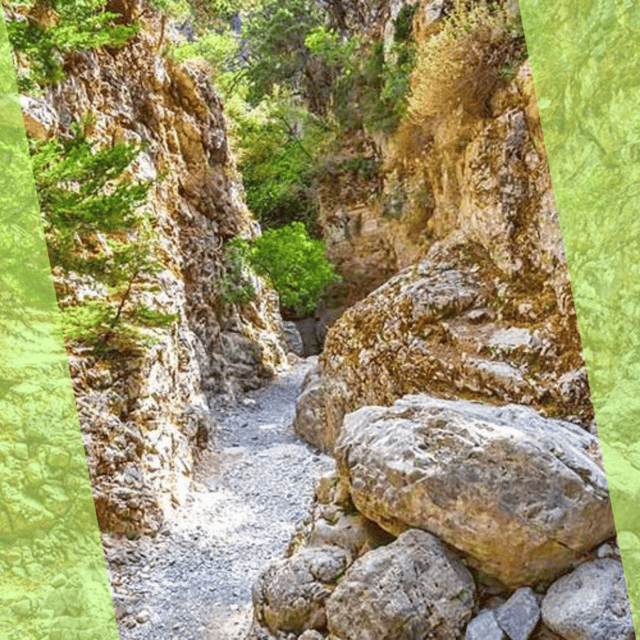 Platanias : Imbros Gorge Superb Hiking Tour - Should you book the Imbros Gorge tour?
