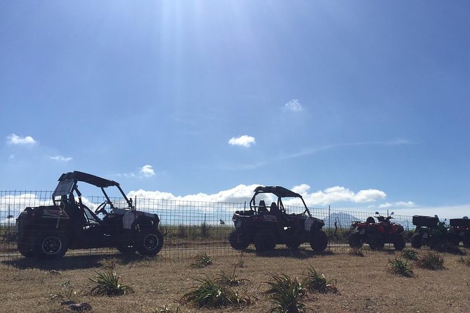 Polaris Buggy 4-Hour Safari from Rethymno Town - Who will enjoy this most
