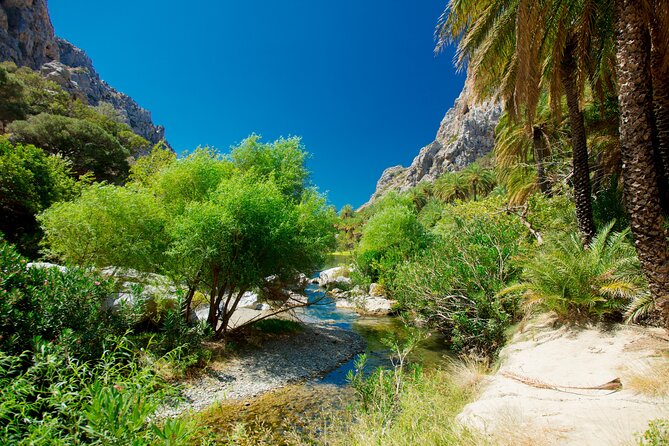 Preveli Beach & Palm Forest :Full-Day Tour with Lunch Box - Practical Tips for a Better Preveli Day