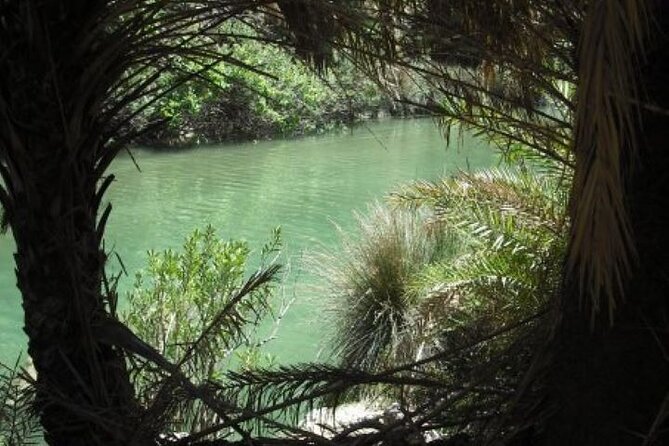 Preveli palm Beach & Damnoni Excursion - Damnoni Beach: departure point and second swim
