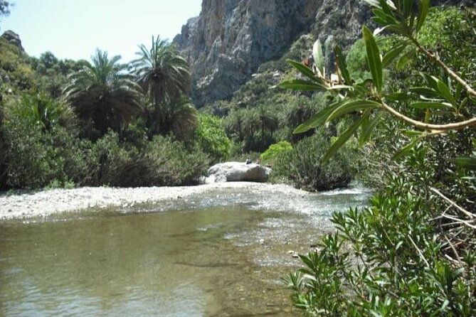 Preveli palm Beach & Damnoni Excursion - A seven to nine hour day from Rethymno
