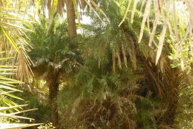 Preveli palm Beach & Damnoni Excursion - Who will get the most from this excursion