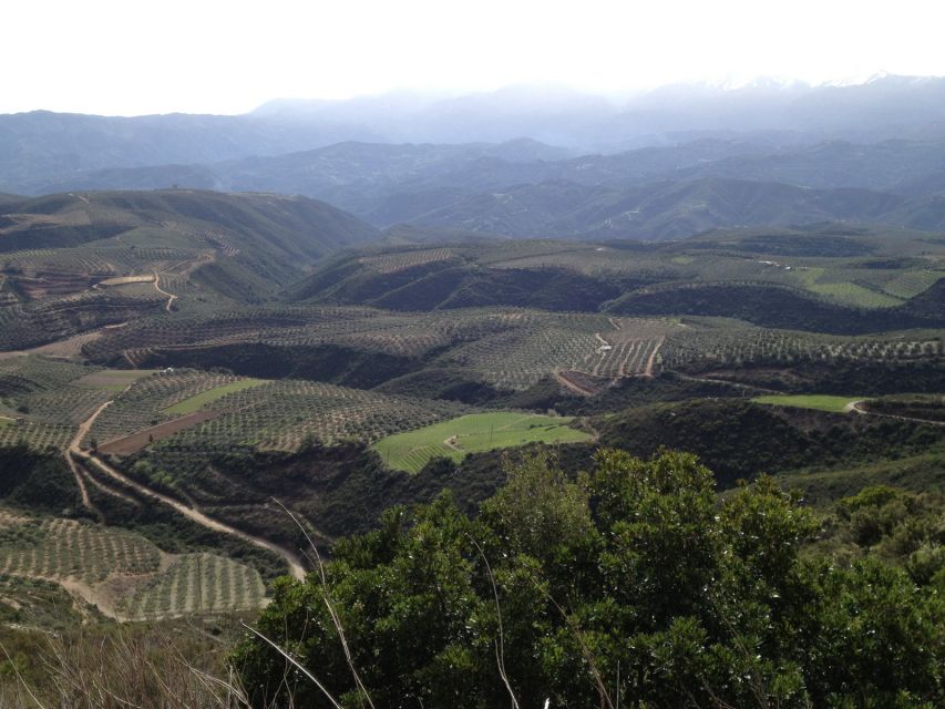 Private Exclusive Manousakis Winery and Vineyard Tour - Leaving Chania for the Vatolakkos Hills
