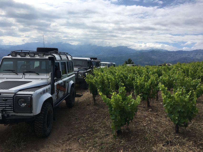 Private Exclusive Manousakis Winery and Vineyard Tour - The 660-meter vineyard ride