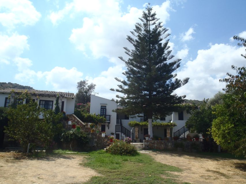 Private Exclusive Manousakis Winery and Vineyard Tour - Passing through a traditional village