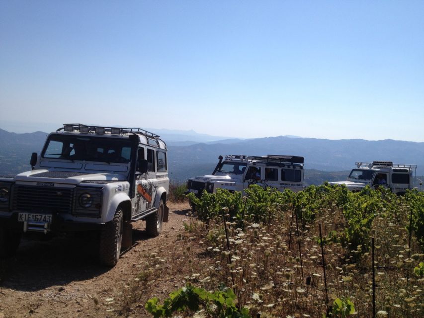 Private Exclusive Manousakis Winery and Vineyard Tour - The return route to Chania