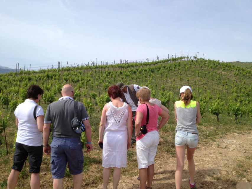 Private Exclusive Manousakis Winery and Vineyard Tour - What the price really includes