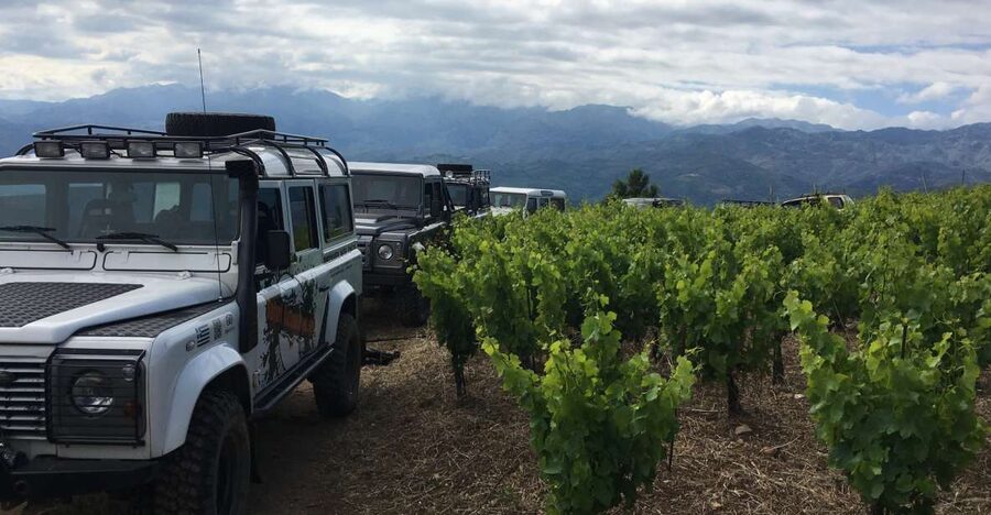 Private Exclusive Manousakis Winery and Vineyard Tour - The Valsamioti Dam photo stop