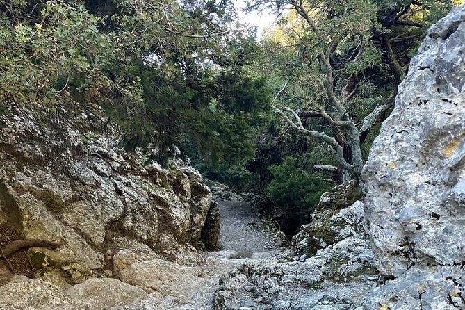Private Hiking Tour in Imbros Gorge (Chania) - Frangokastelo: fortress views and a sandy beach