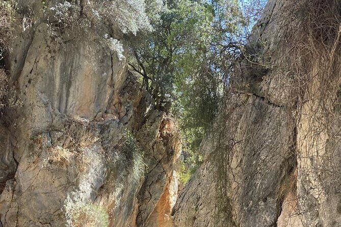 Private Hiking Tour in Imbros Gorge (Chania) - Is this private Imbros Gorge tour worth booking?