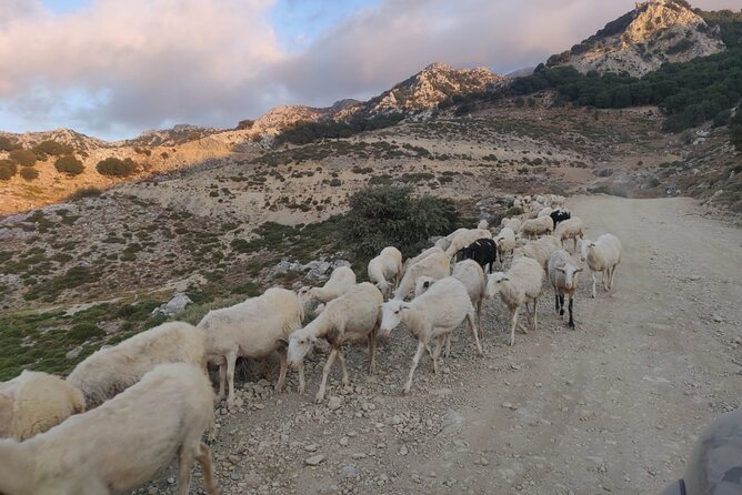 PRIVATE Jeep Safari 4x4 SUNSET (with Dinner) in Mountains CRETE - What dinner includes in Mochos