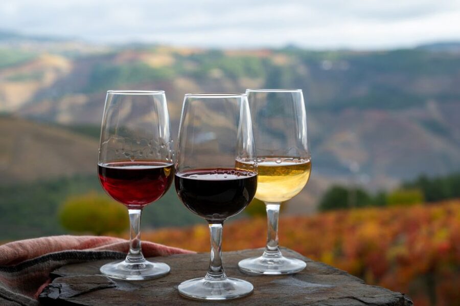 Private Knossos Skip The Line Tour inc. lunch & wine tasting - Who should book this Crete tour?