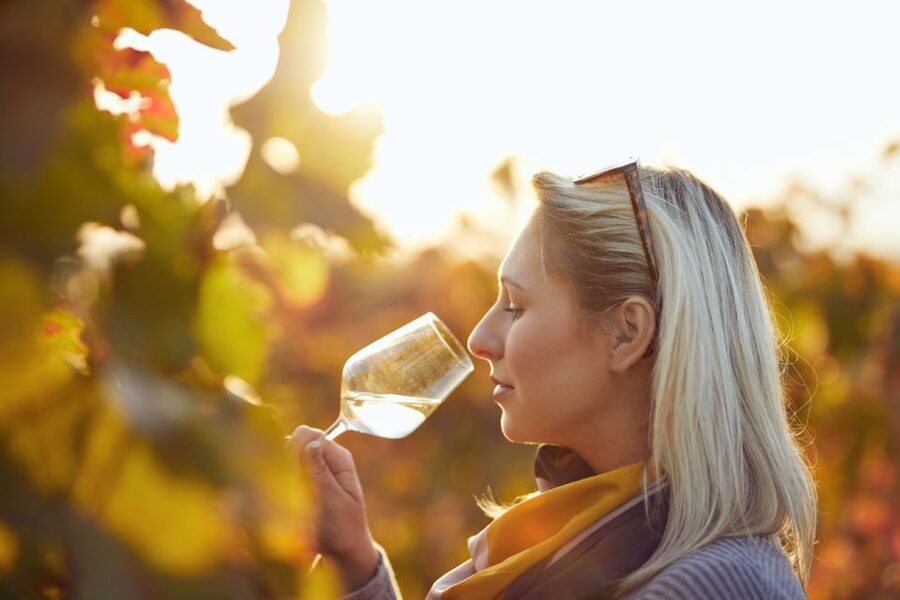 Private Knossos Skip The Line Tour inc. lunch & wine tasting - Six Cretan wines at a family winery