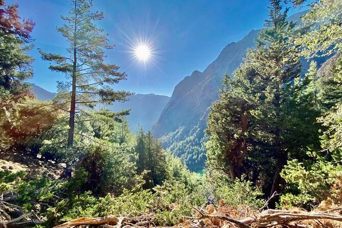 Private Roundtrip Transfer from Chania to Samaria Gorge Park - What the driver does, and what the driver does not do
