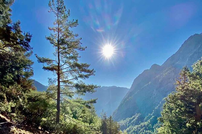 Private Roundtrip Transfer from Chania to Samaria Gorge Park - The real value of the $86.74 price