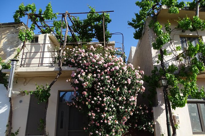 Private Tour-Authentic Villages of Lasithi Olive Oil and Wine - Agios Georgios and the plateau’s farming past