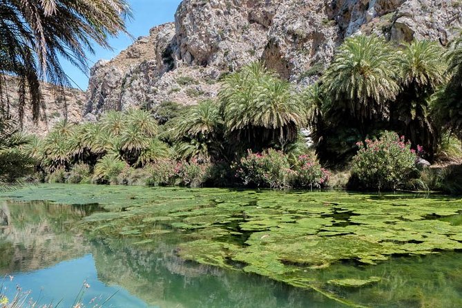 Private Tour Rethymno: Spili, Preveli, Kourtaliotiko, Old Town - Damnoni Beach for a simpler swim stop