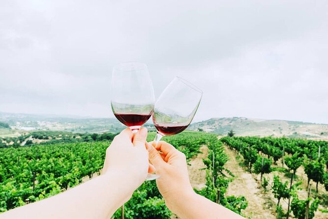 Private Tour: Soap, Olive Oil & Lyrarakis Winery with Lunch - The wine tasting is broader than a token sample