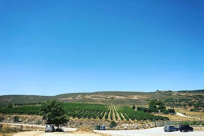 Private Tour: Soap, Olive Oil & Lyrarakis Winery with Lunch - Lunch is local, but not necessarily lavish
