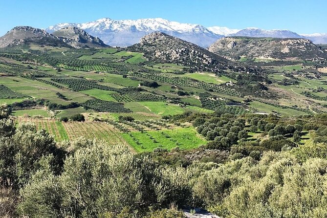 Private Tour: Soap, Olive Oil & Lyrarakis Winery with Lunch - Who will enjoy this Crete wine tour most?