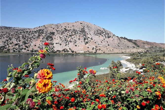 Private Tour West Crete: Chania & Rethymno Town and Kournas Lake - Chania’s harbor and old streets