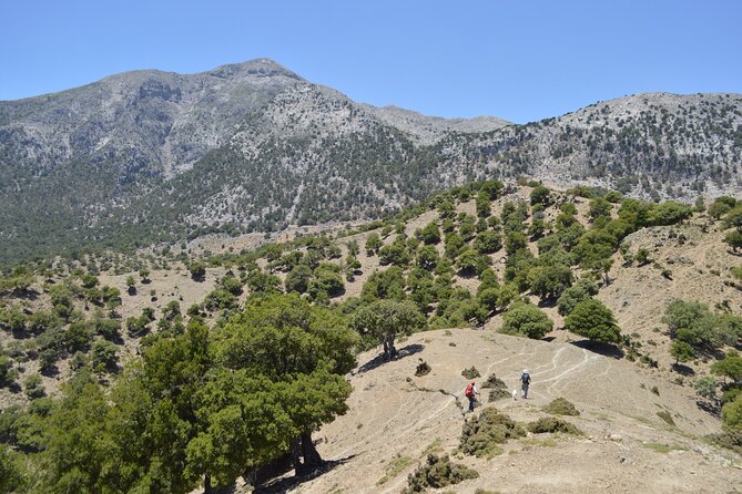 Private Trekking Rouvas Gorge - Starting beside Zaros Lake