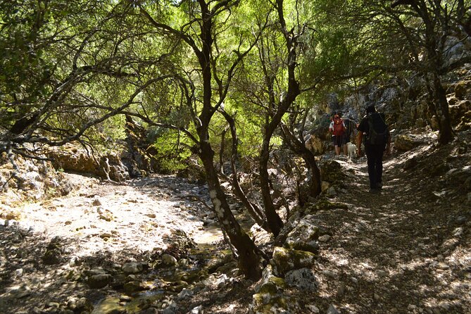 Private Trekking Rouvas Gorge - Choosing Dyo Prini or the route back