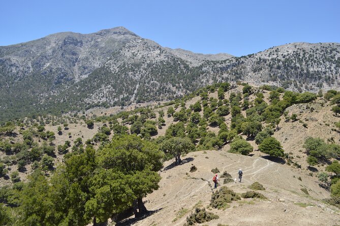 Private Trekking Rouvas Gorge - What the $591.46 group price means