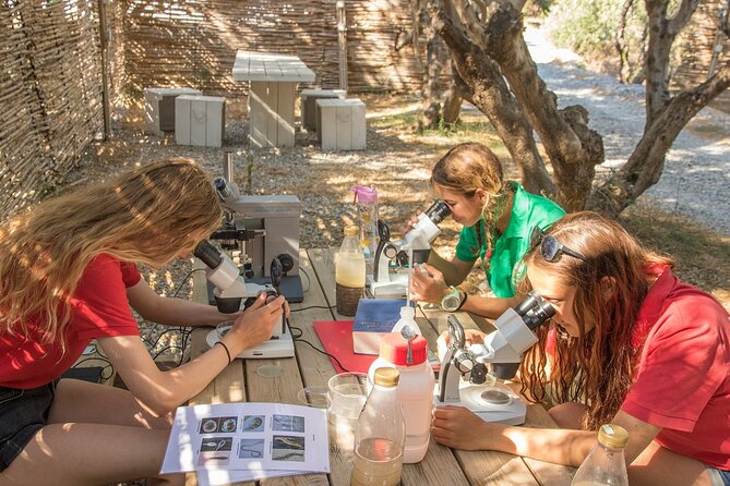 Research diving with a Marine Biologist in Crete - How much value do you get for $308.58?