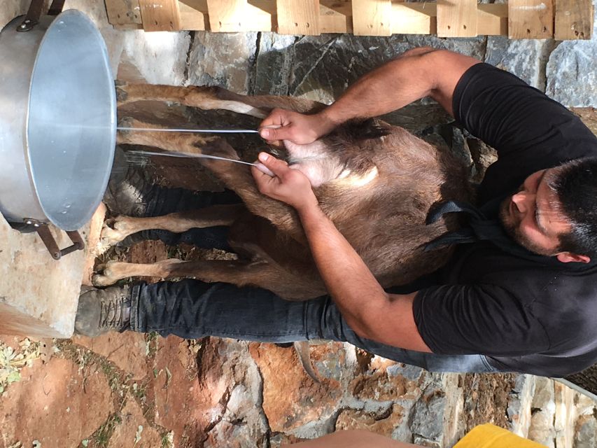 Rethymno 4x4 Safari: Tastes & Farm Experience - Key points at a glance