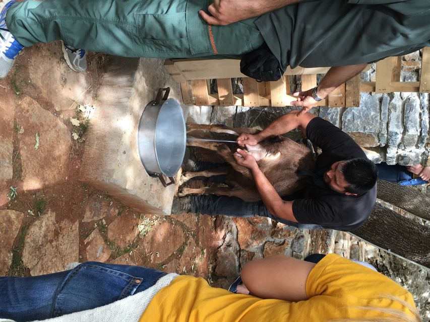 Rethymno 4x4 Safari: Tastes & Farm Experience - Melidoni Olive Oil Mill, from stone press to bottle