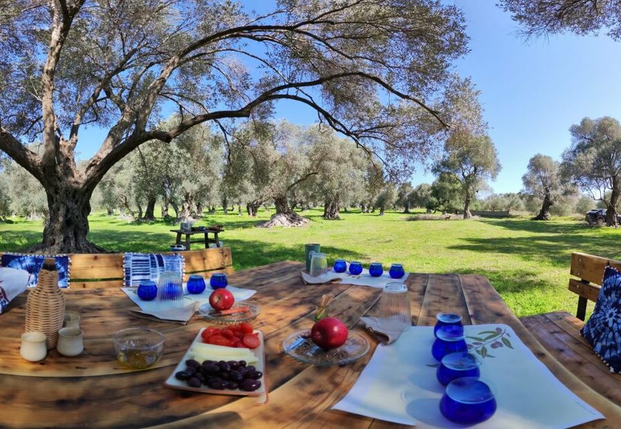 Rethymno: Olive Oil Tasting with Cretan Food Pairing - Learning what makes olive oil good
