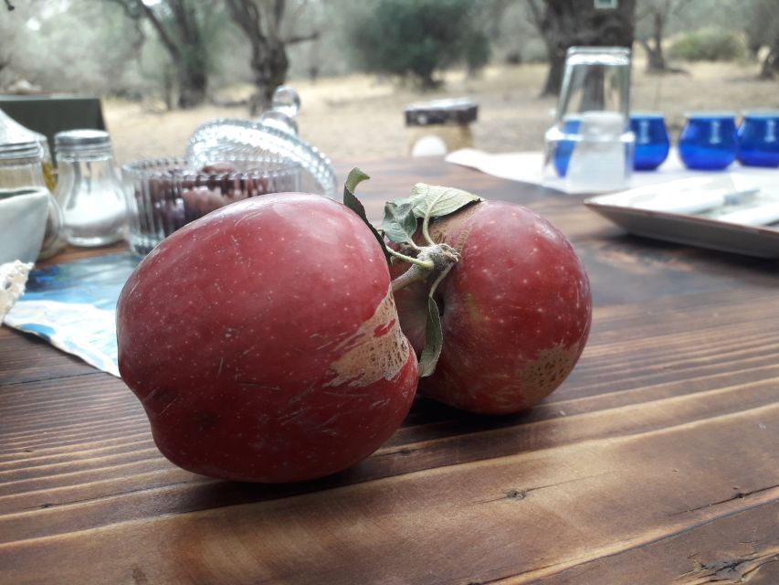 Rethymno: Olive Oil Tasting with Cretan Food Pairing - The main strengths and limitations