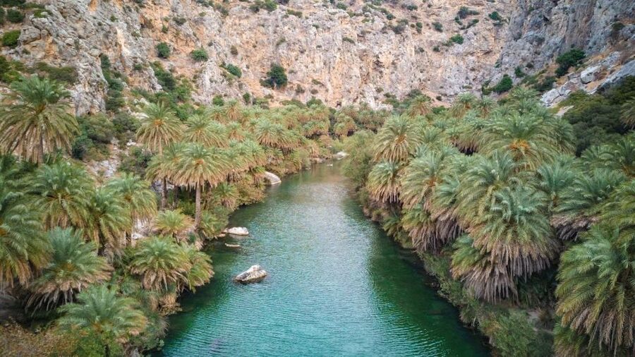 Rethymno: Preveli Beach Damnoni Beach Kourtaliotiko Day Trip - Preveli Beach, palm trees, and the cold river