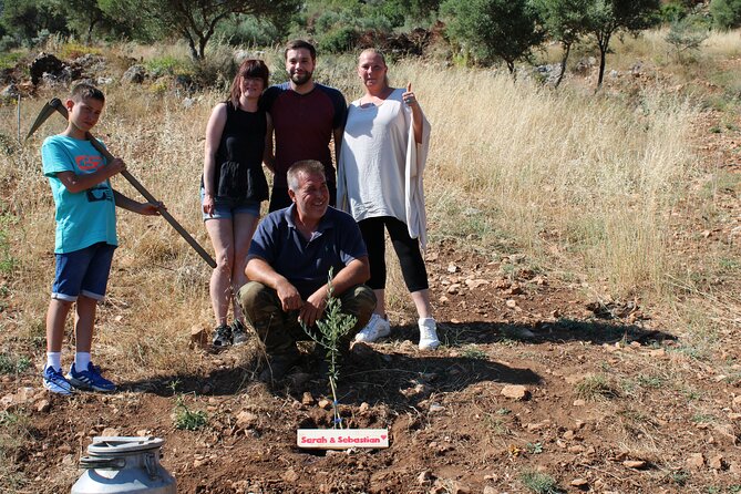 Rethymnon Olive Tree Sponsorship Protect and Plant Tour - A living souvenir in a Cretan olive grove