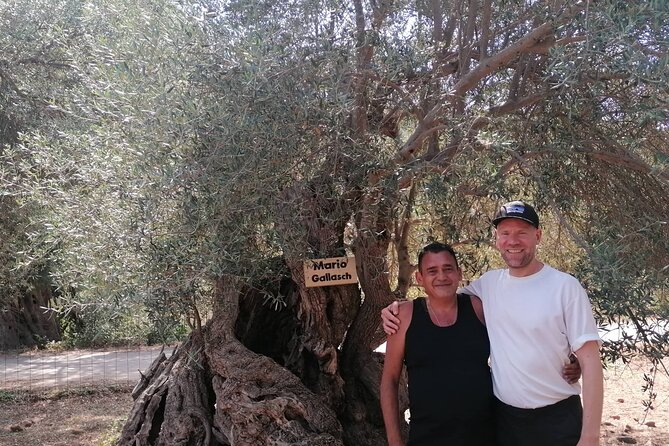 Rethymnon Olive Tree Sponsorship Protect and Plant Tour - Planting a young tree from the Cretan Lazarus project