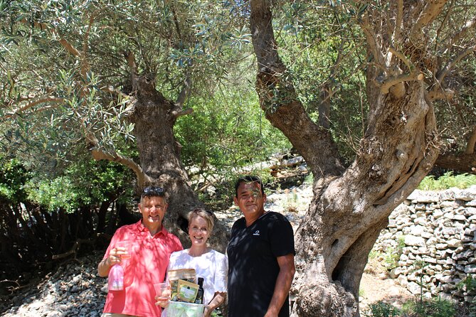 Rethymnon Olive Tree Sponsorship Protect and Plant Tour - A private visit with time for your own occasion