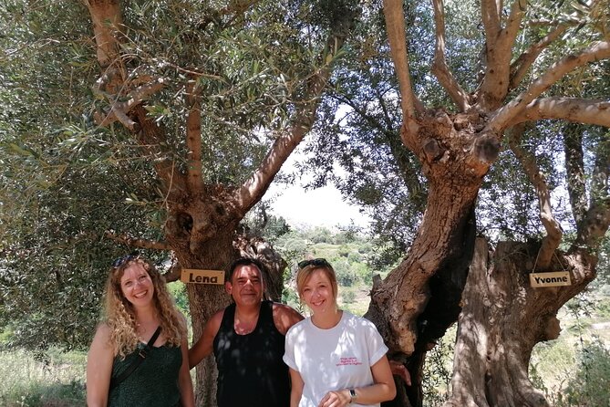 Rethymnon Olive Tree Sponsorship Protect and Plant Tour - Timing, meeting details, and weather
