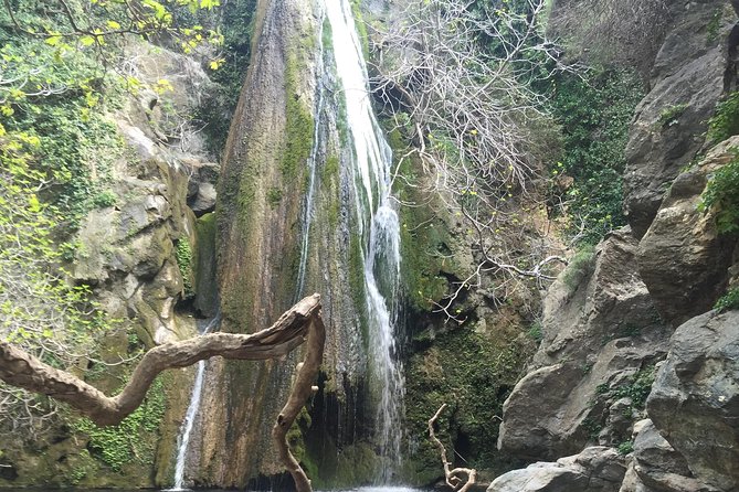 Richtis Waterfall, History, Azoria, OliveTasting, NorthCoast - Olive oil tasting at a family factory