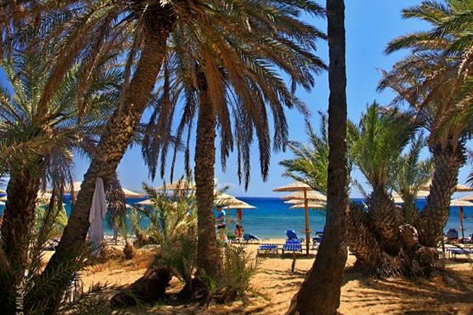 RIVIERA - Vai Palm Beach, Toplou Monastery - Key points to know before booking