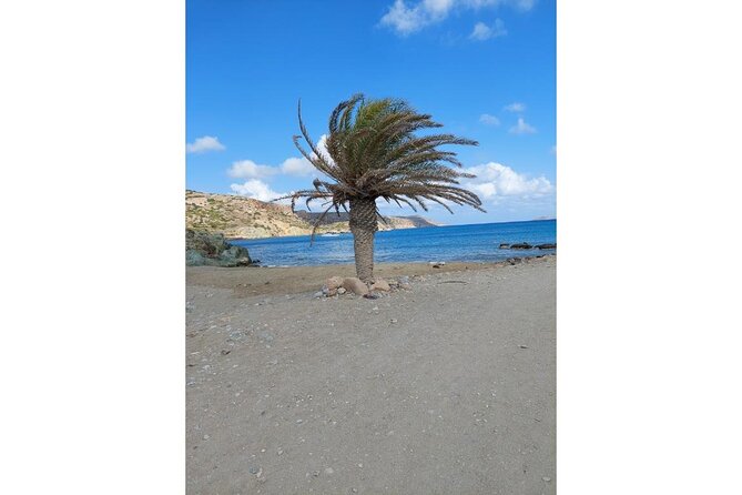 RIVIERA - Vai Palm Beach, Toplou Monastery - Why this eastern Crete day trip works