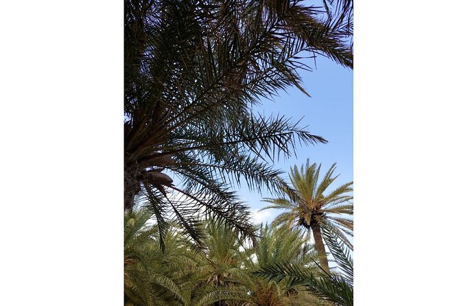RIVIERA - Vai Palm Beach, Toplou Monastery - Vai Palm Forest gives the day its headline sight