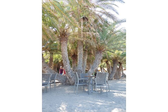 RIVIERA - Vai Palm Beach, Toplou Monastery - Included Cretan lunch breaks up the day