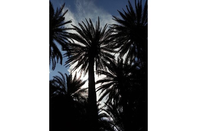 RIVIERA - Vai Palm Beach, Toplou Monastery - Platanos brings a quieter finish