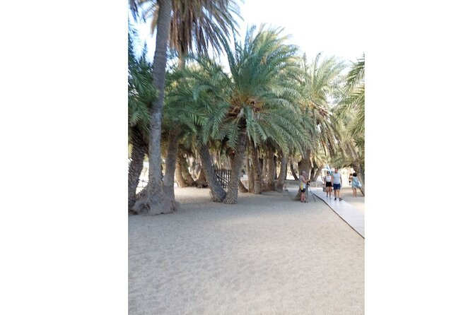 RIVIERA - Vai Palm Beach, Toplou Monastery - What the $107.17 price really covers