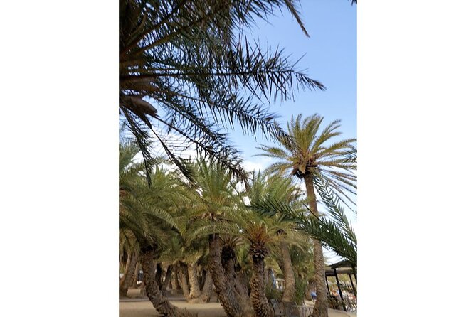 RIVIERA - Vai Palm Beach, Toplou Monastery - Who should book this tour