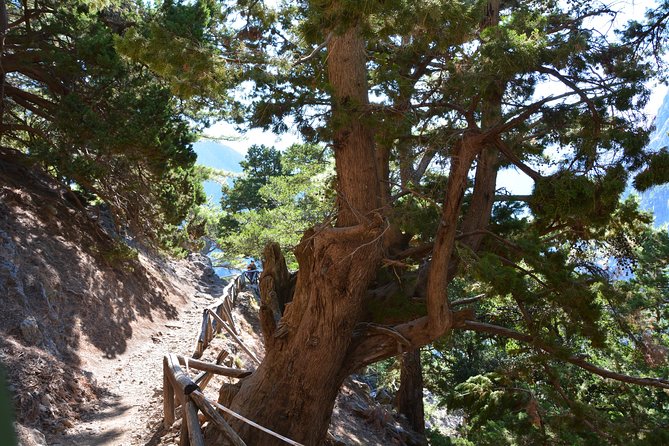 Samaria Gorge Hike - Why Samaria Gorge is worth a full day