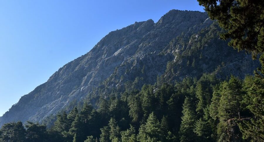 Samariá Gorge Hike: Day Excursion from Chania - Walking Through the Gorge for 18 Kilometers